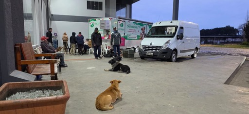 Mutirão de castração evitará o nascimento de 400 filhotes