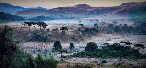 Geada marca o amanhecer de quarta-feira e deixa belas paisagens na Serra Catarinense